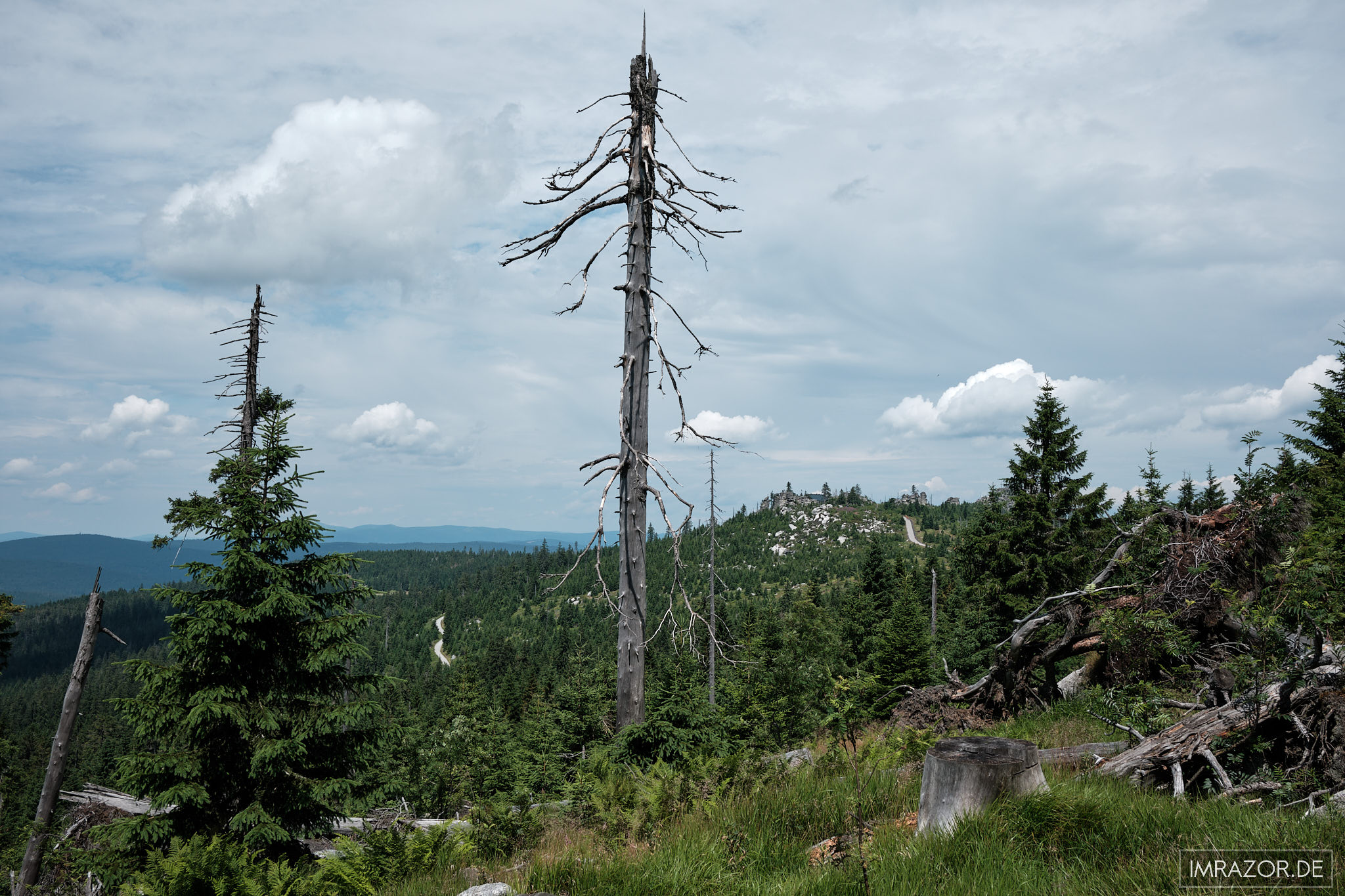 Blick zurück zum Dreisessel