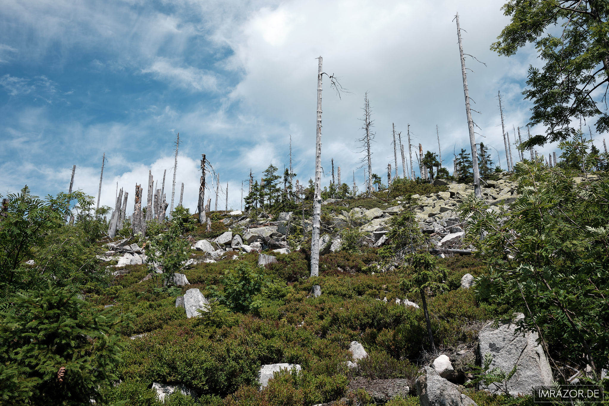 Granitblöcke am Rand des Adalbert-Stifter-Steigs