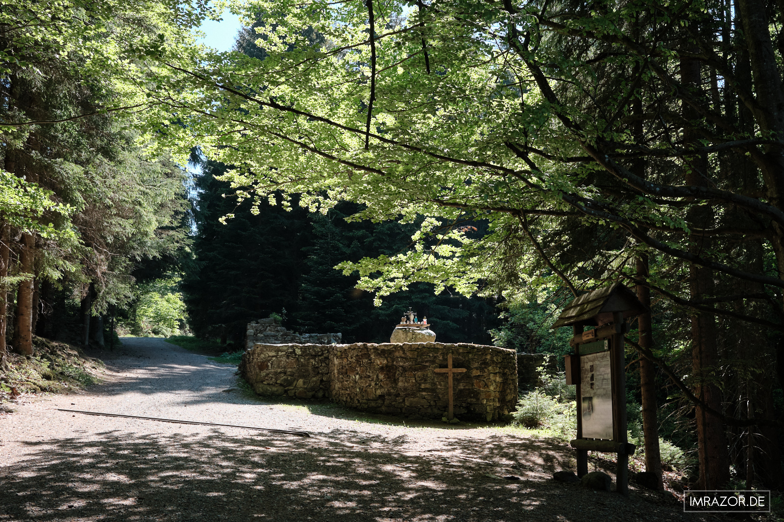 Die Überreste der Hauswaldkapelle unter Rotbuchen