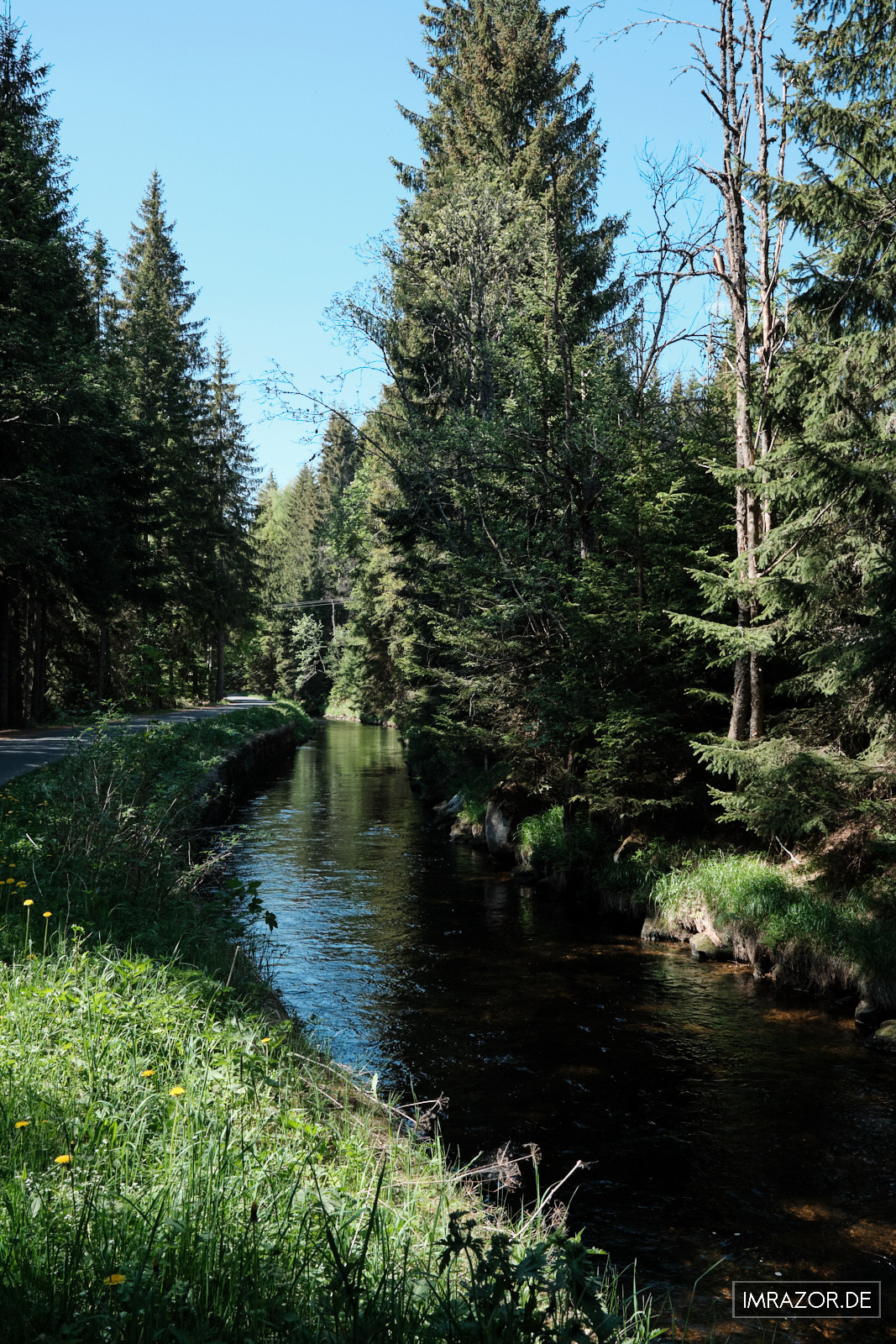 Chintz-Tettauer-Schwemmkanal bei Antygl