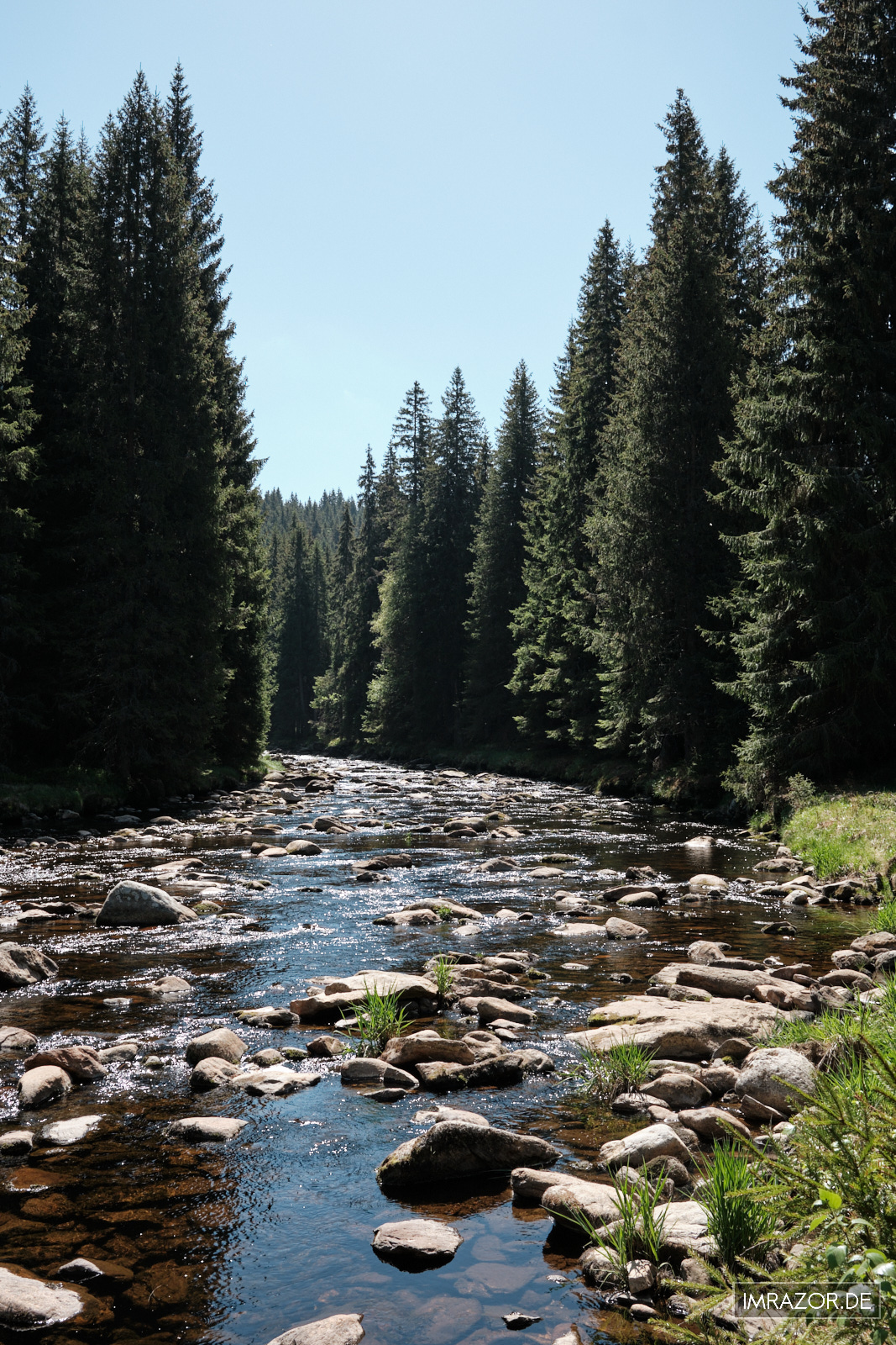 Malerische Flusslandschaft der Vydra