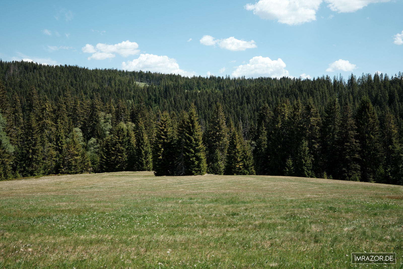 Weite Wiesen und Wälder