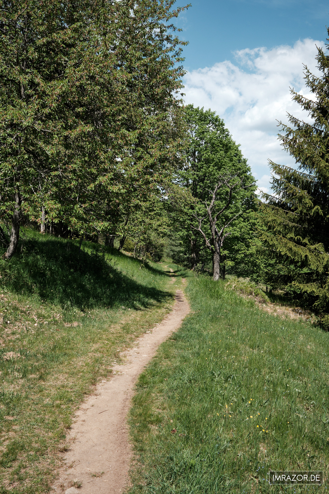 Der Wanderweg führt durch abwechslungsreiche Landschaft