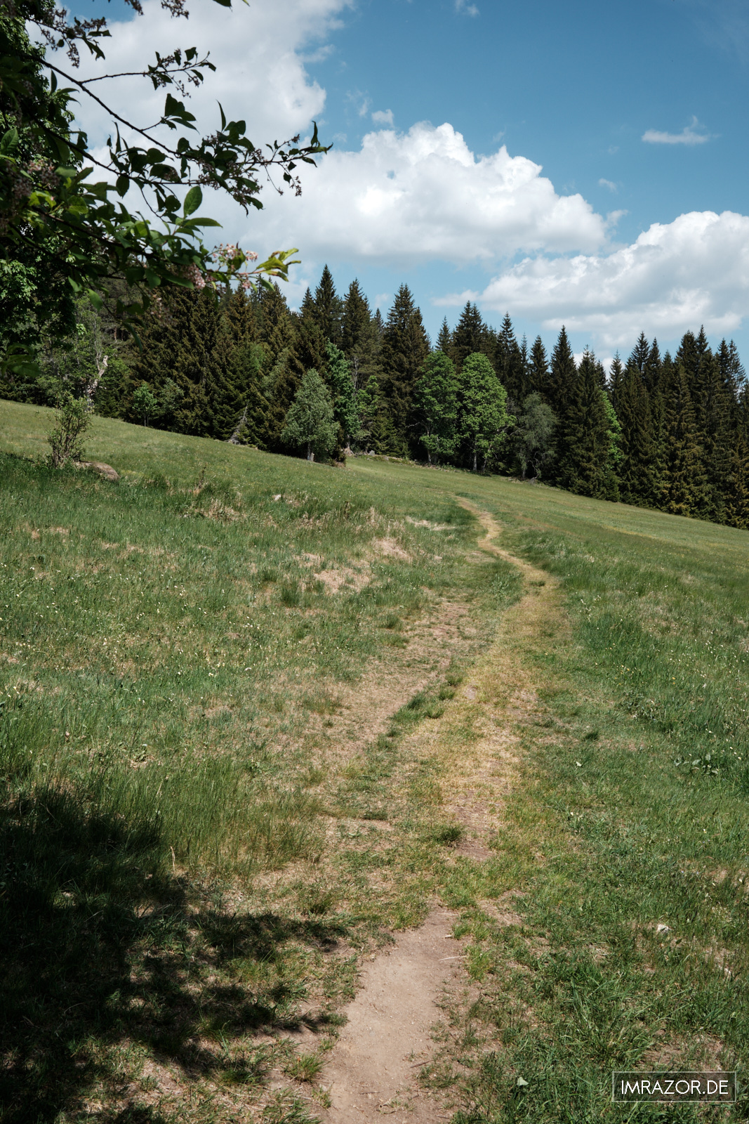 Weg über Wiesen und Waldabschnitte auf dem Rückweg