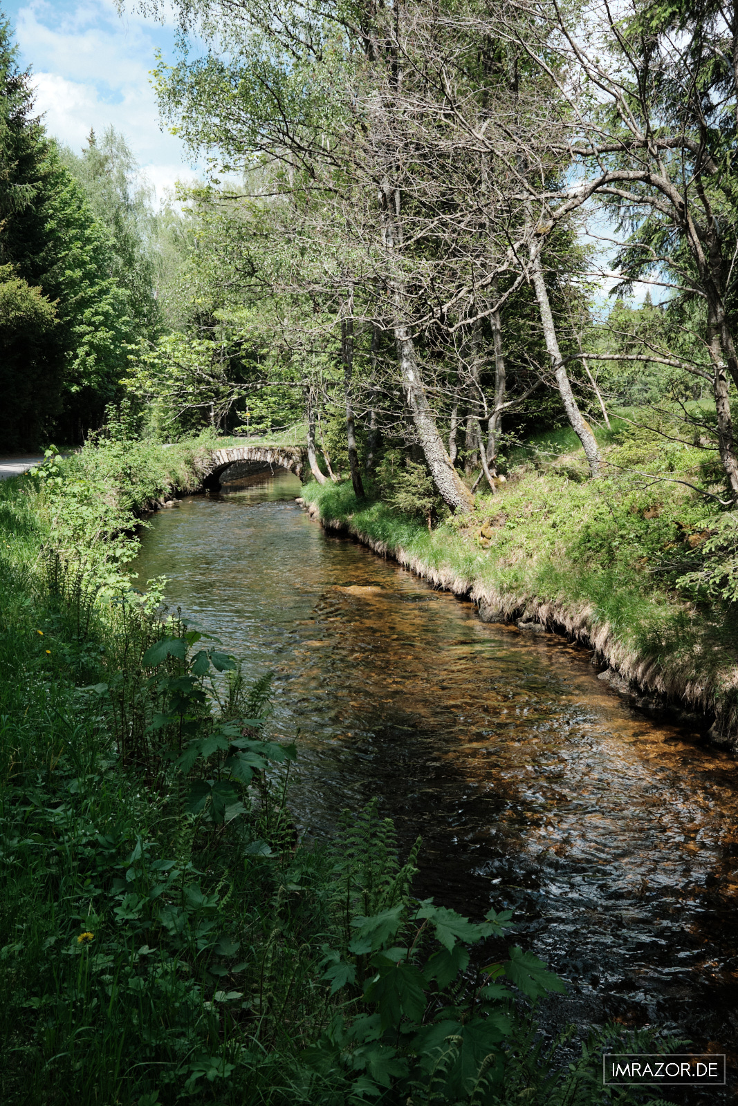 Zurück am Chintz-Tettauer Schwemmkanal