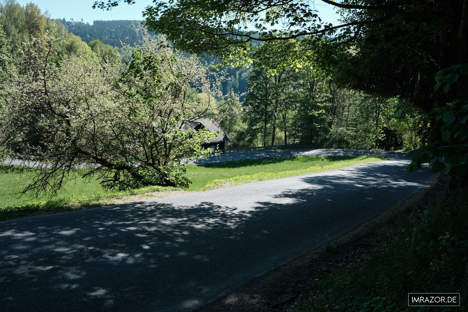 Abstieg ins Tal über die Straße