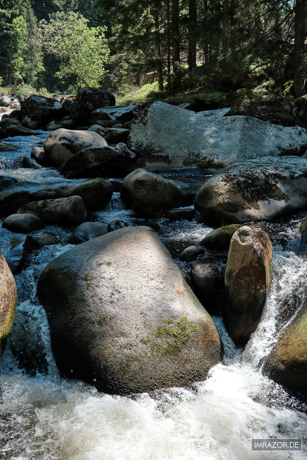 Vydra - Wilde Flusslandschaft