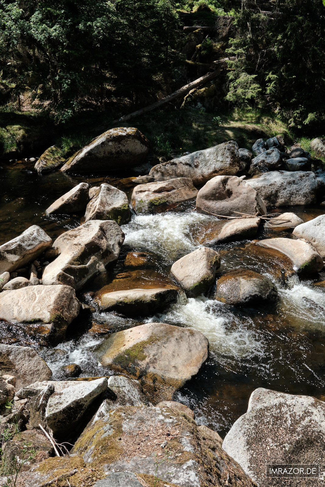 Wildes Wasser der Vydra