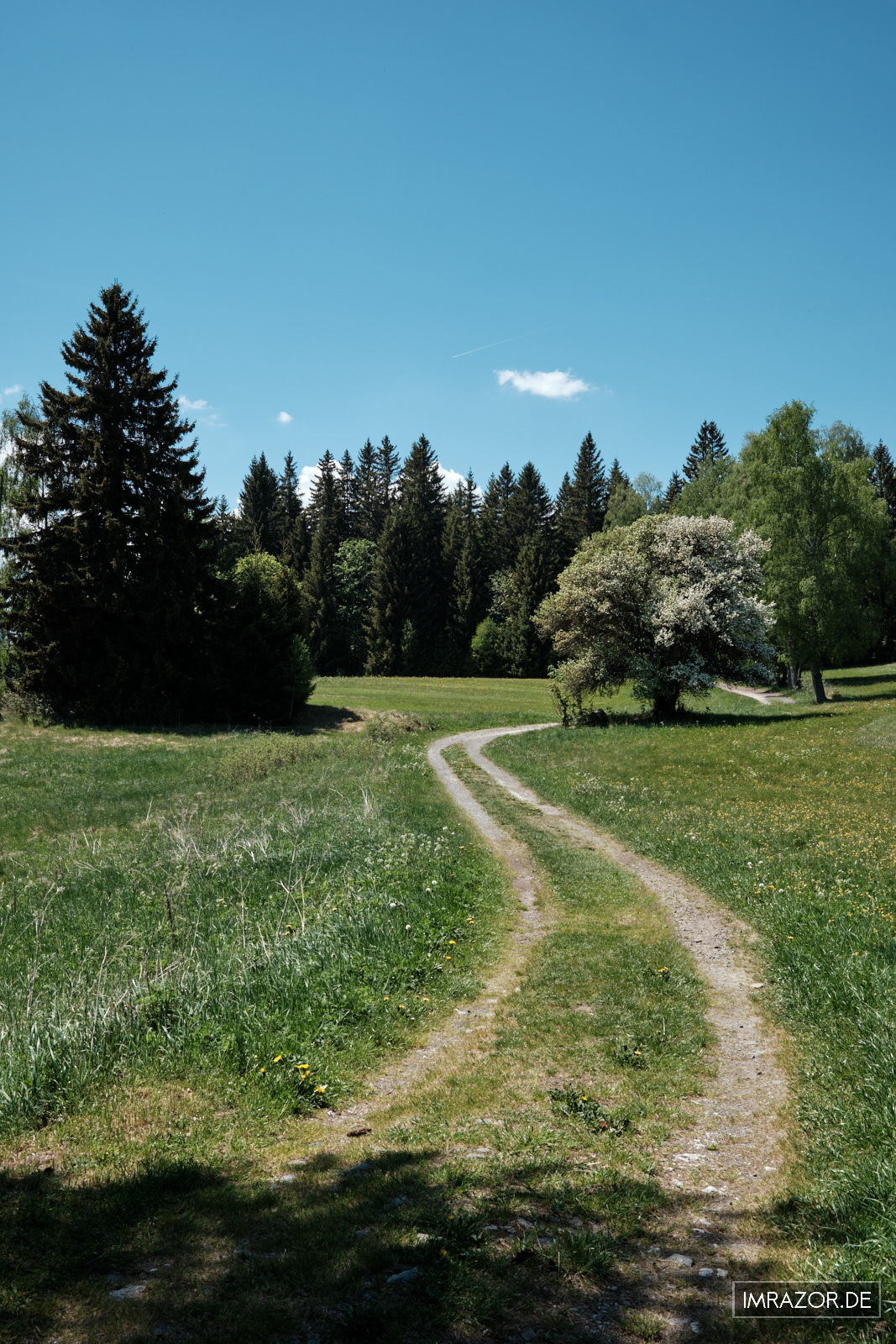 Einsamer Feldweg